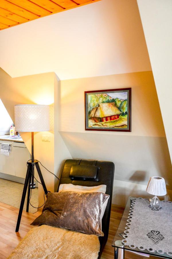 Apartament M9 - Zakopane Zewnętrze zdjęcie